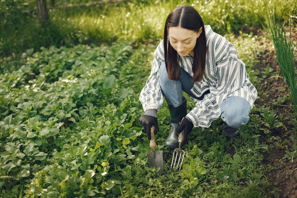 Économiser sur l’Aménagement Extérieur au Québec : Trouver des Aubaines pour votre Jardin