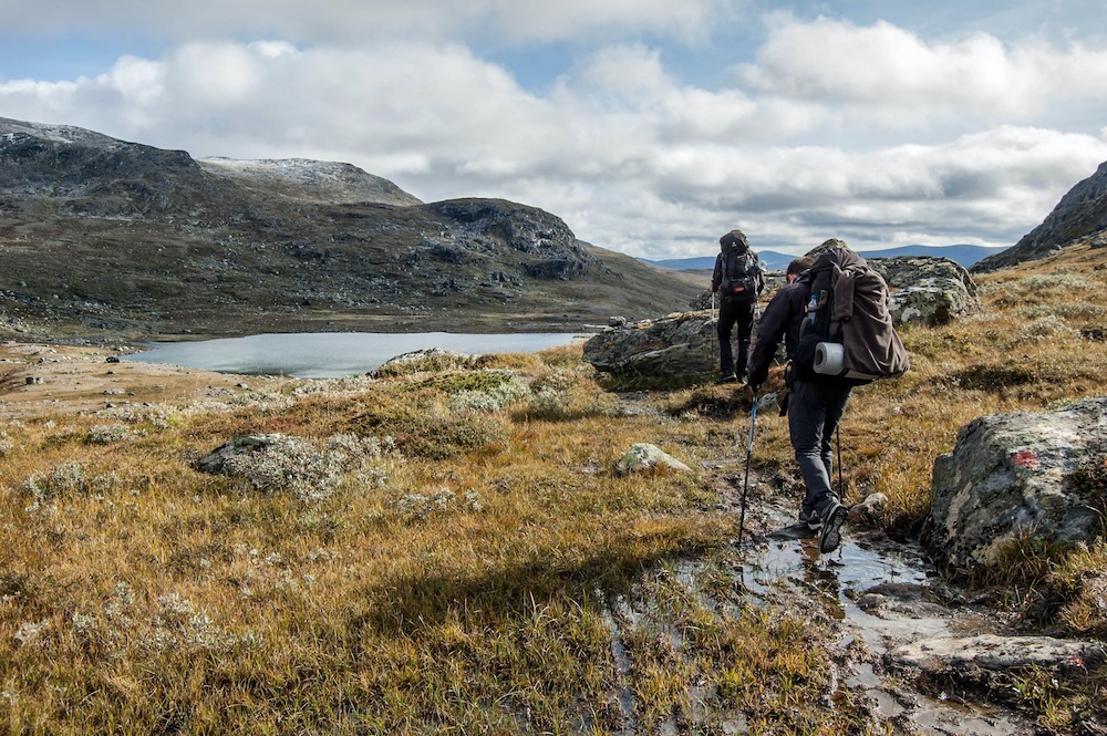 Les Bons Plans pour les Amateurs de Randonnée : Équipement de Plein Air à Rabais au Québec