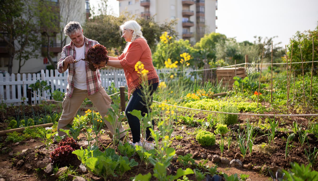 Le Potager Urbain au Québec : Cultiver ses Propres Légumes à Moindre Coût